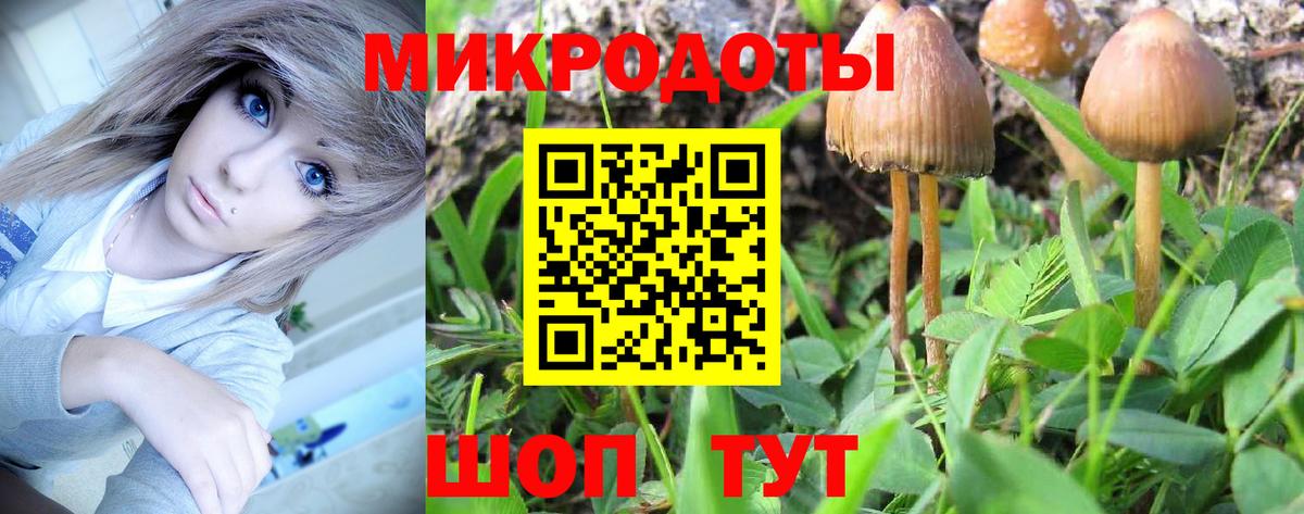 Сатка  где найти наркотики  Вход с VPN  Галлюциногенные грибы Psilocybe 