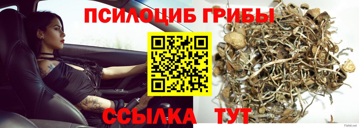 Псилоцибиновые грибы ЛСД Сатка